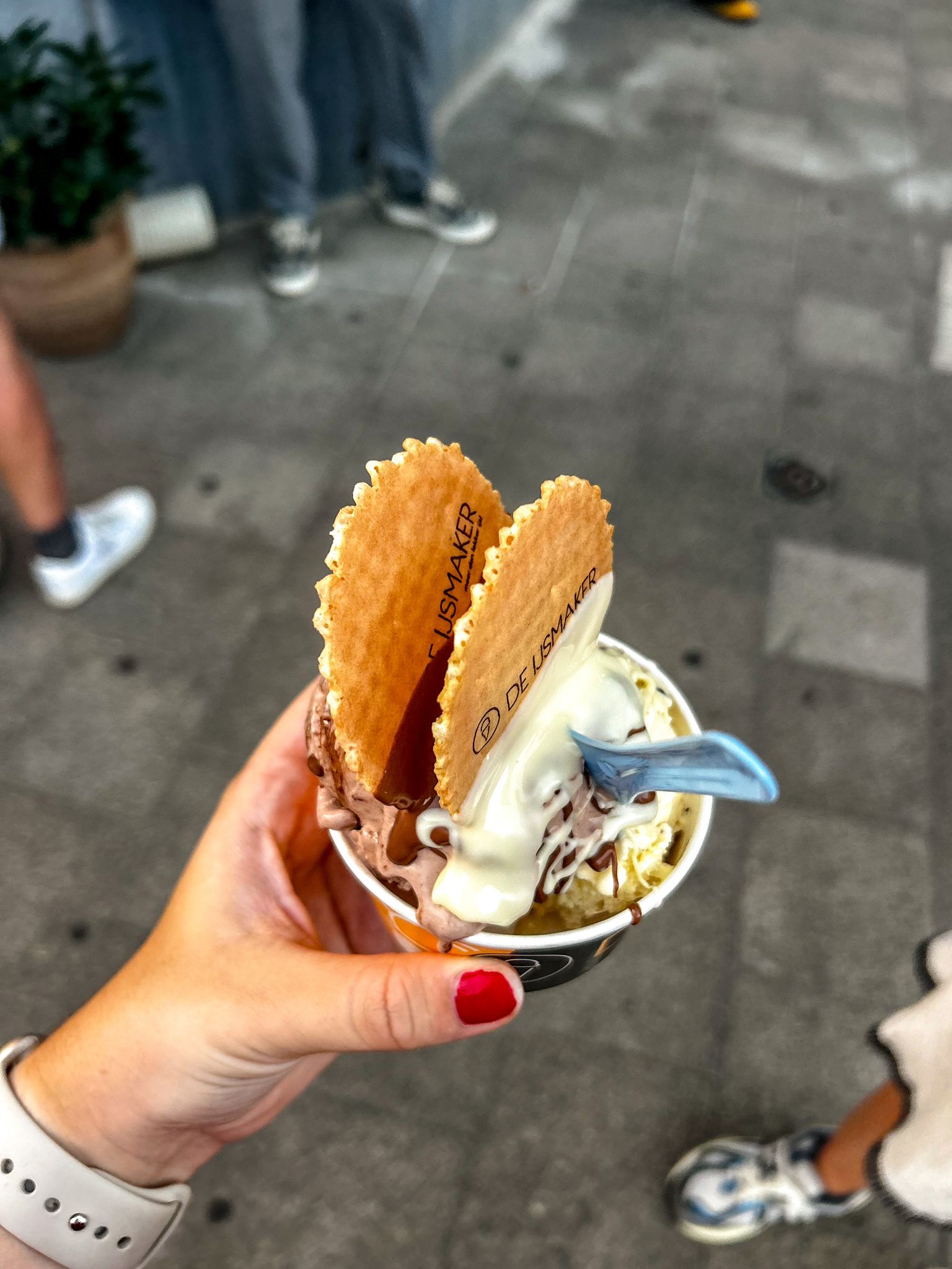 De IJsmaker