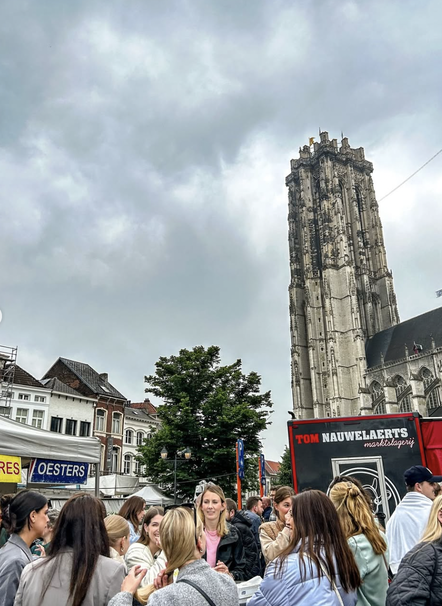 Luc Vis Mechelen