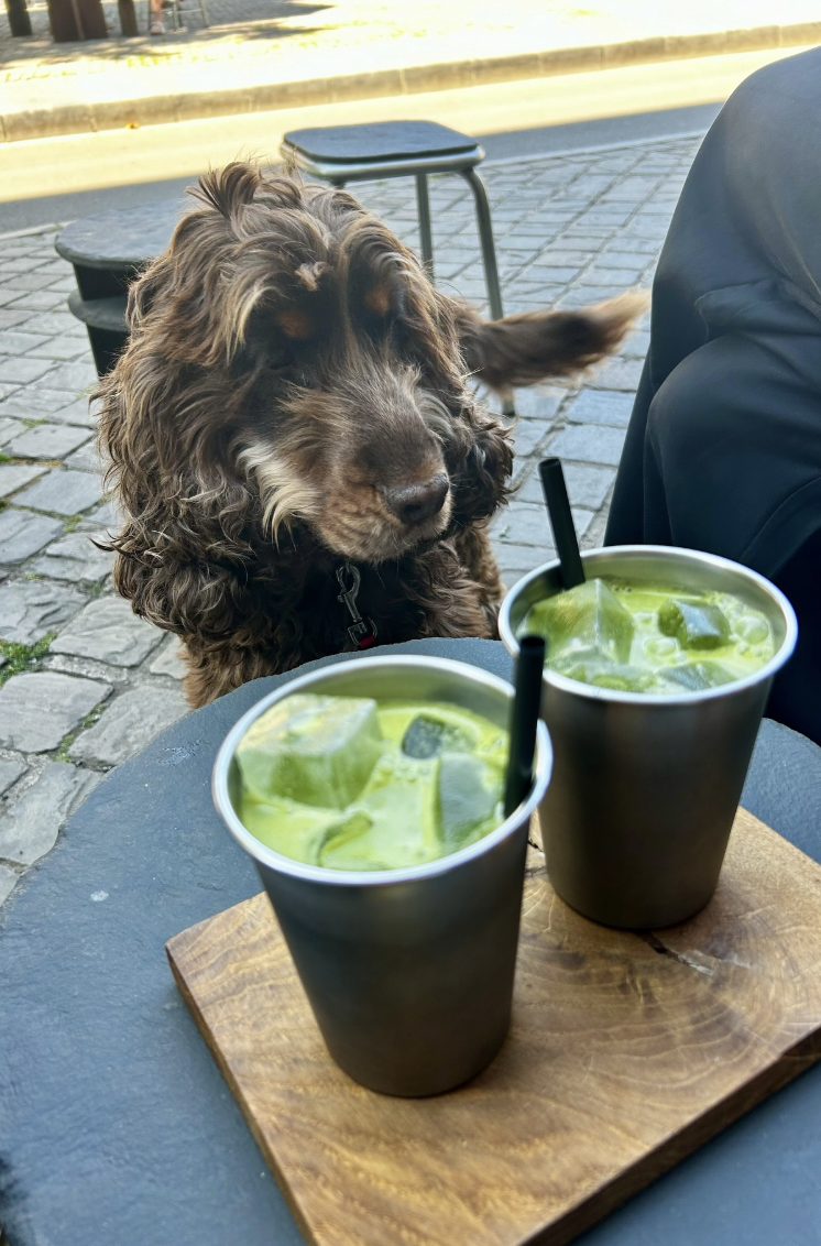 Kūkai Matcha Antwerp