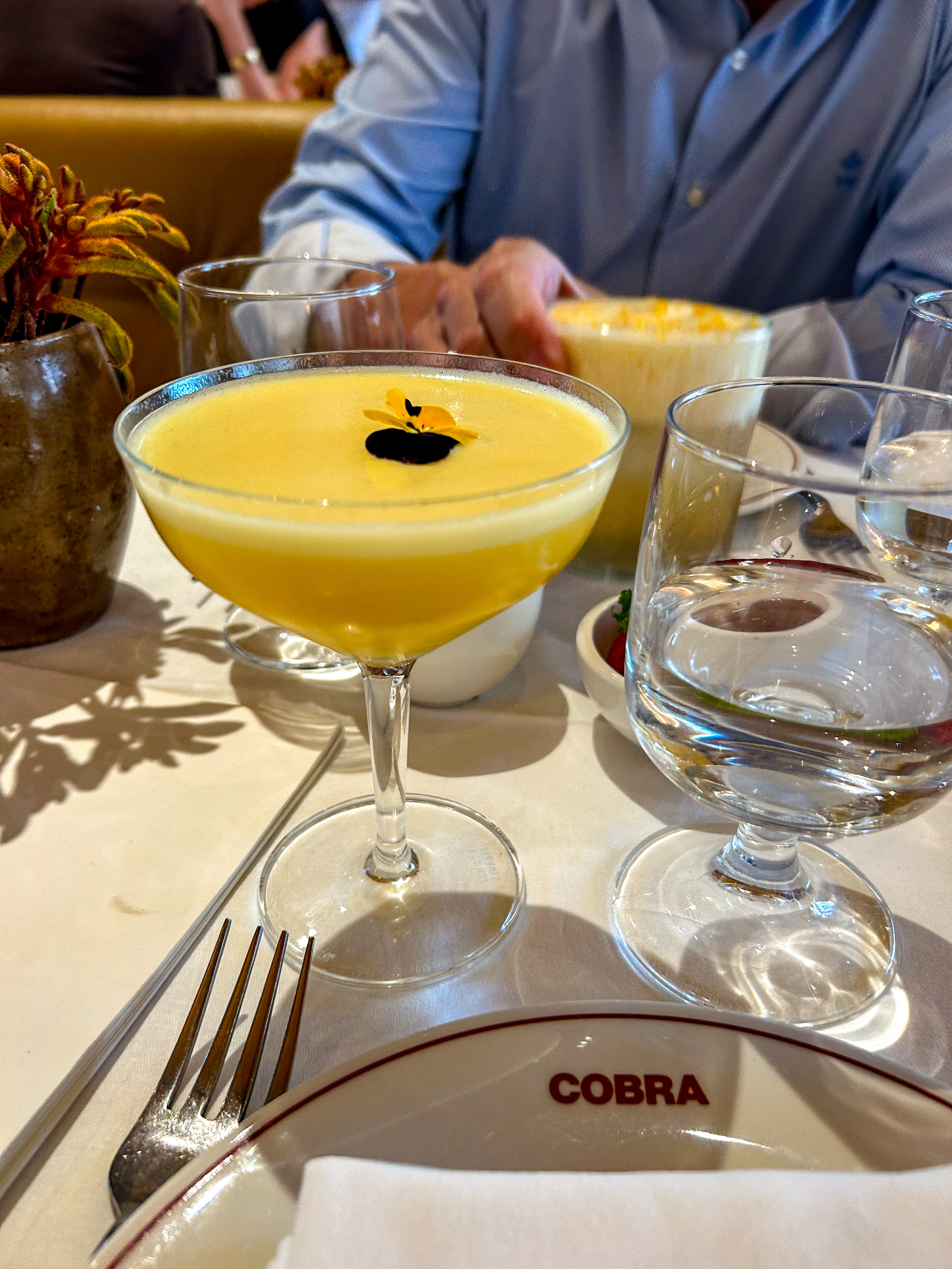 Cobra House Antwerp